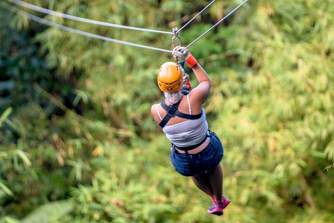 Jeep & Zip Safari St. Lucia From Castries - Island appetizers and Atlantic views