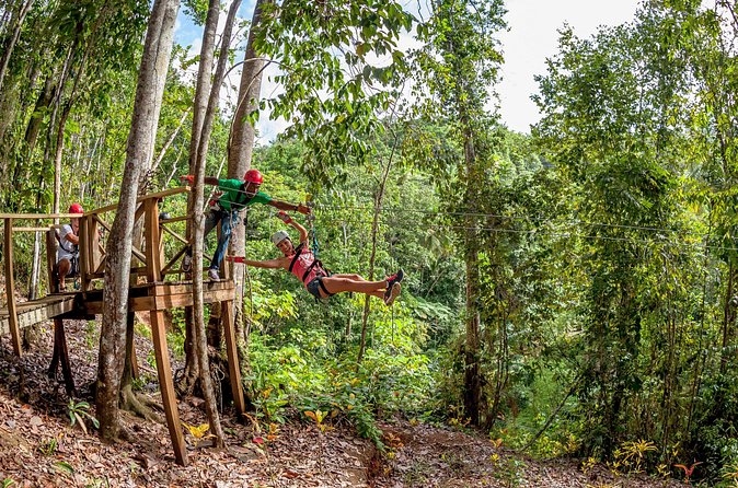 Jeep & Zip Safari St. Lucia From Castries - What the $157.90 price covers