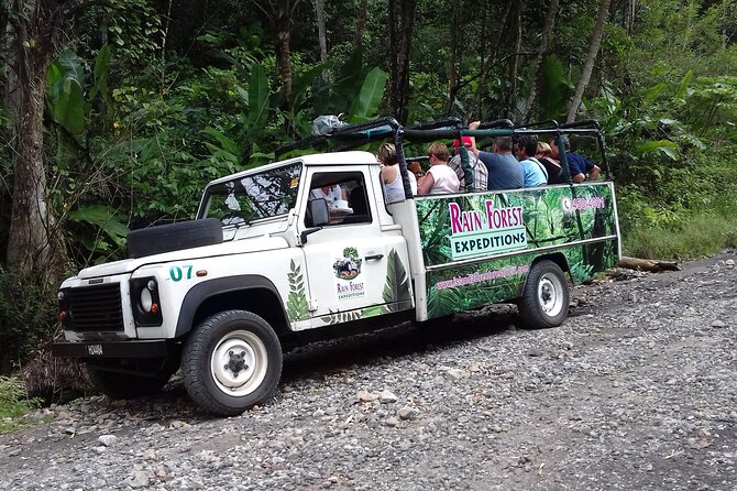 Jeep & Zipline Adventure in St. Lucia - Getting ready for the rainforest zipline