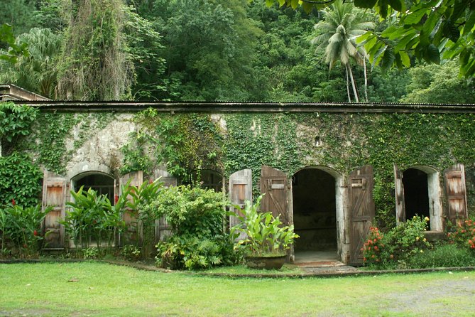 Magical Soufriere: A Tour of St Lucia - Is $90 good value?