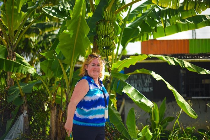 Mudbaths, Waterfall & Botanical Gardens Tour - All Inclusive - Cooling off at Toraille Waterfall