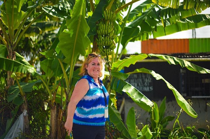 Mudbaths, Waterfall & Botanical Gardens Tour - All Inclusive - Lunch with local flavor
