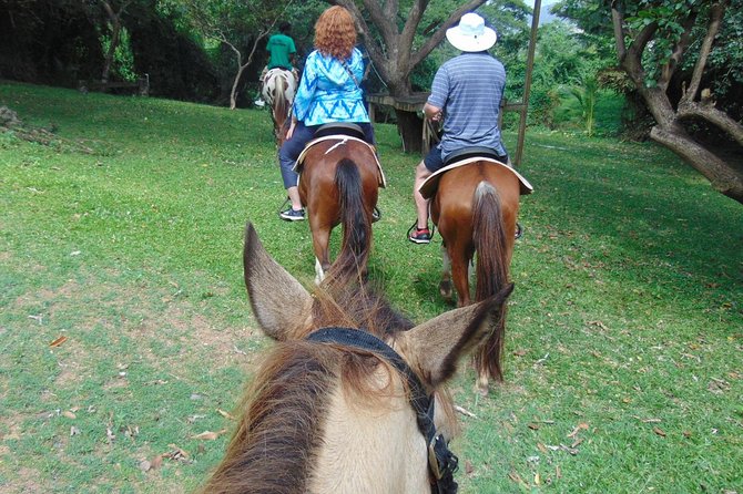 Nature & Historical Horseback Riding Tours St. Lucia - Is $120 a fair price?