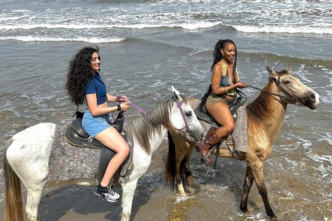 Nature & Historical Horseback Riding Tours St. Lucia - Meeting the horses and choosing your pace