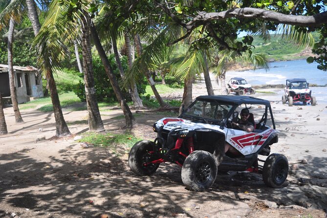 Northern Sights - Buggy in the North - From Gros Islet to the northern countryside