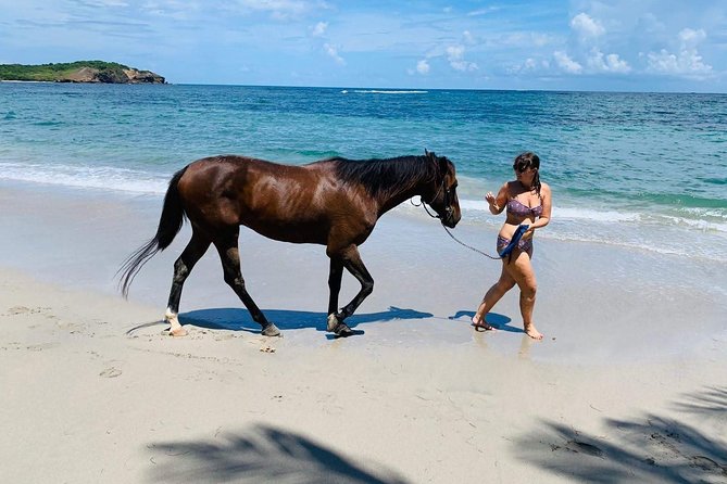Private Advanced Horseback Beach Ride with Sandy Hoofs St. Lucia - Out along the coastal trails