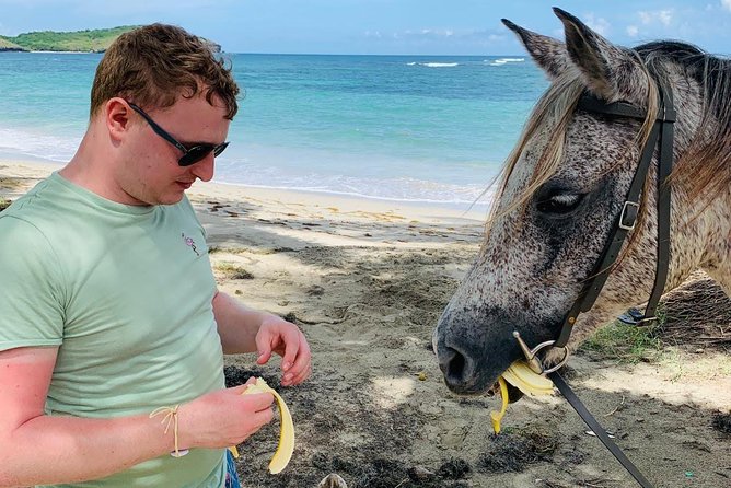 Private Advanced Horseback Beach Ride with Sandy Hoofs St. Lucia - Who should book this experience