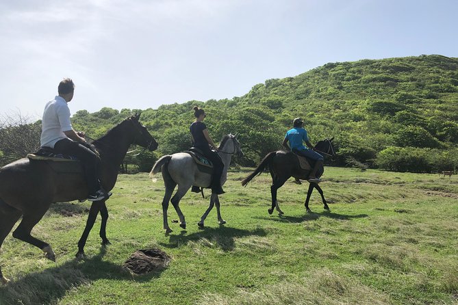 Private Advanced Horseback Beach Ride with Sandy Hoofs St. Lucia - Starting at Sandy Hoofs in Beausejour