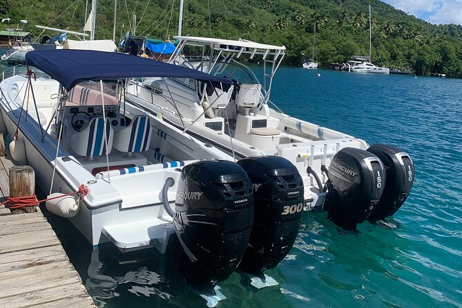 Private All Inclusive Speedboat to Soufriere with Lunch, Mud Bath & Waterfall - Sulphur Springs: warm water and volcanic mud