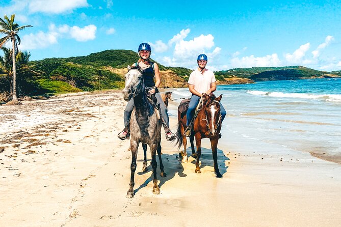 Private Beach Picnic Horseback Ride with Sandy Hoofs St. Lucia - Key points to know