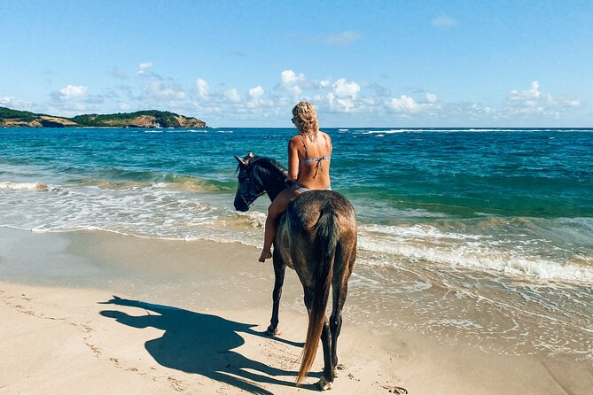 Private Beach Picnic Horseback Ride with Sandy Hoofs St. Lucia - Arriving at Anse La Voute beach
