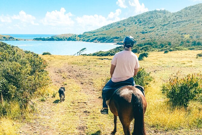 Private Beach Picnic Horseback Ride with Sandy Hoofs St. Lucia - Cantering is for experienced riders