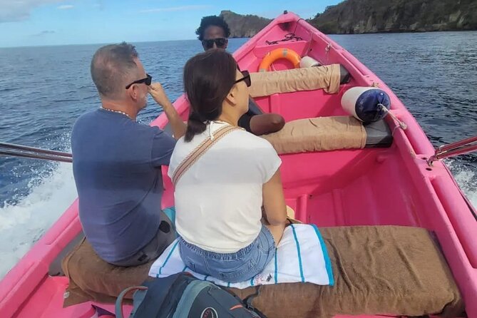 Private Boat Tour:St.Lucia private charter - Sulphur Springs and the optional mud bath