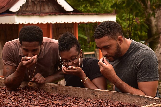 Private Chocolate Making Class - Key points to know