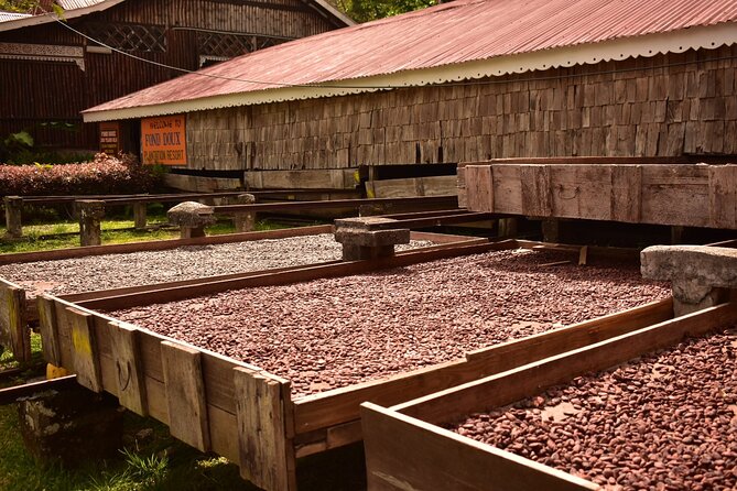 Private Chocolate Making Class - Who will enjoy this chocolate class most