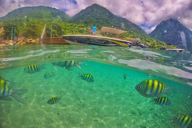 Private Custom Coastal Cruise St. Lucia Half Day - Marigot Bay and the option of a waterside drink