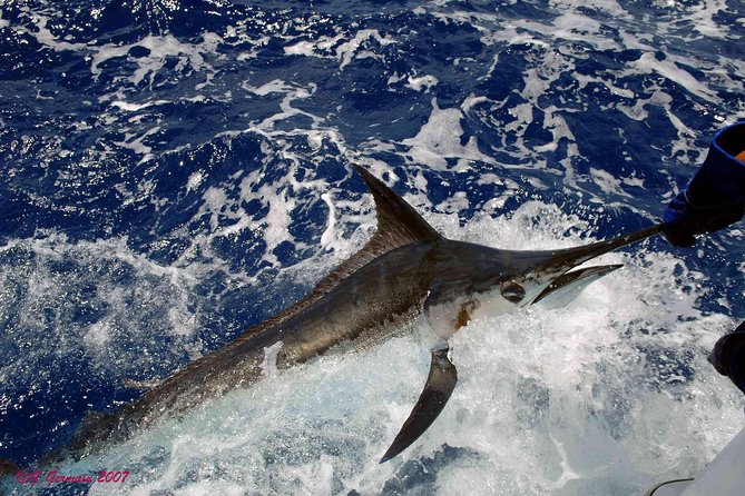 Private Fishing in St Lucia Charters - Cruise passengers need sharper timing