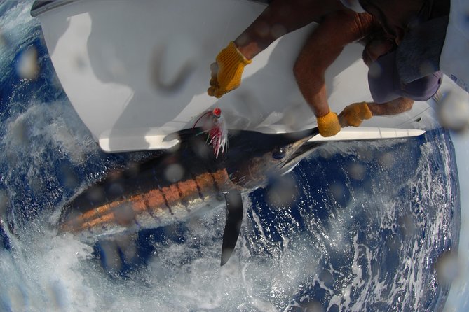 Private Fishing in St Lucia Charters - Health and boat-cleaning measures