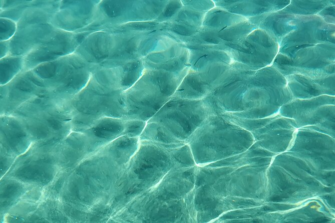 Private Full Day Snorkel Soufriere Charter - Toraille Waterfall and a possible local lunch