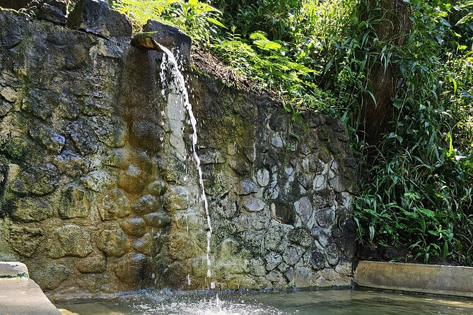 Private Island Tour St. Lucia - The driver can shape the day