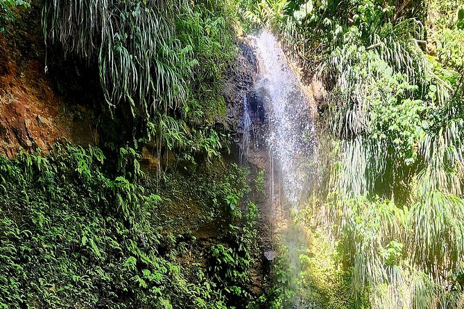 Private La Soufriere Drive-In Volcano Minibus Tour St Lucia - Is $295 per person a fair price?