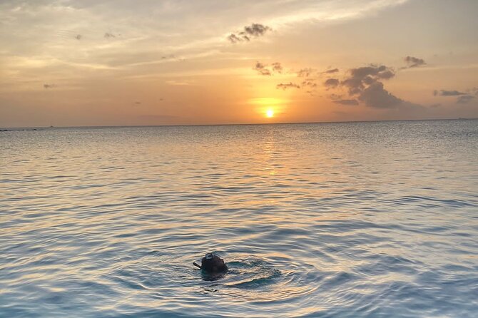 Private Sunset and Snorkel Cruise - Key points at a glance