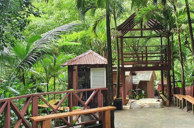 Private Tour of Sulphur Spring and Toraile Waterfall in Soufriere - What to bring and how to pace the day