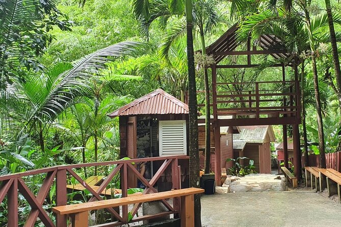 Private Tour of Sulphur Spring and Toraile Waterfall in Soufriere - Who will enjoy this Soufrière day most