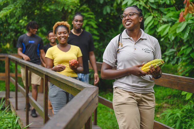 Project Chocolat Tree to Bar Tour at Hotel Chocolat Saint Lucia - What the $124 Price Really Buys