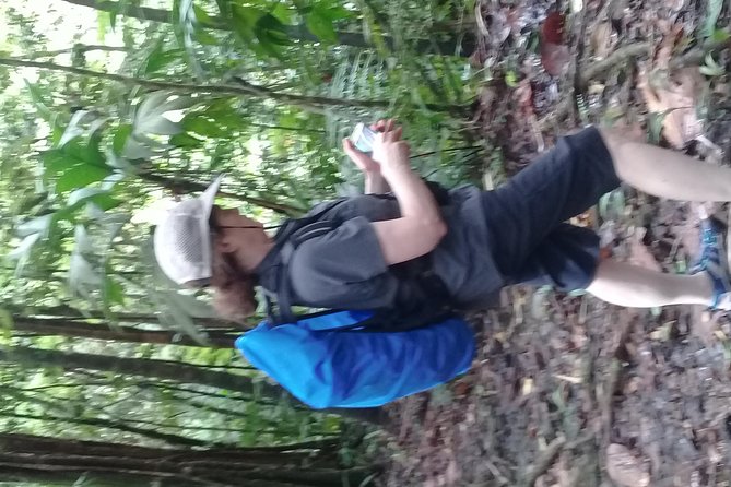 Rain forest and Bird watching - Group size, fitness, and comfort