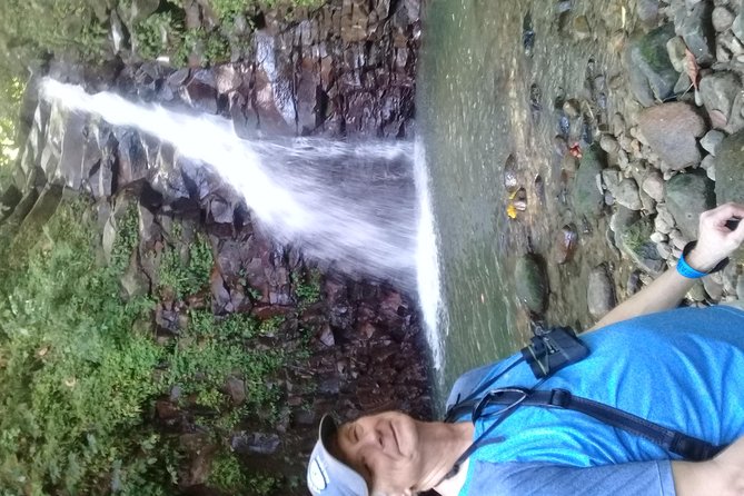 Rain forest and Bird watching - Who should book this St. Lucia outing