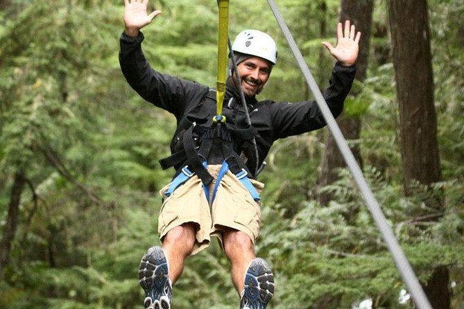 Rainforest Canopy Adventure from Vieux Fort or North Island, St Lucia - Key things to know before you book