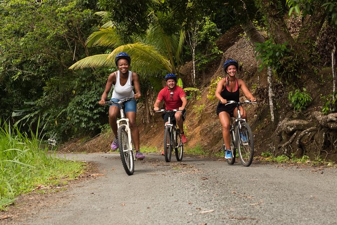 Rainforest Cycling Adventure in St. Lucia - Why this St. Lucia bike tour feels different