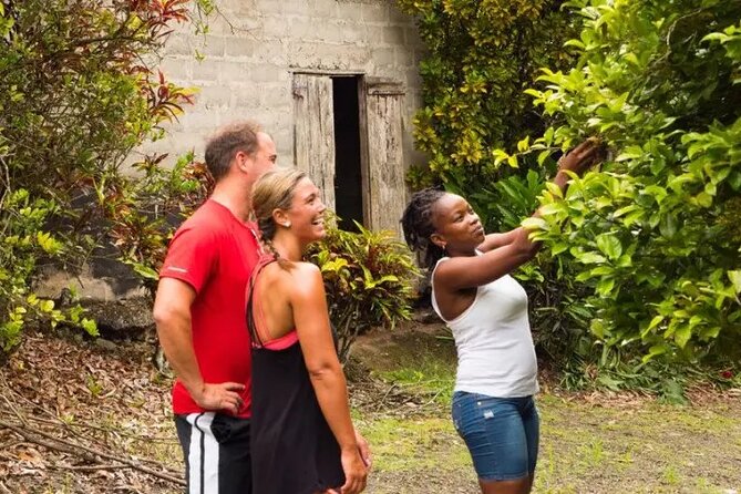 Rainforest Cycling Adventure in St. Lucia - The country roads bring the workout