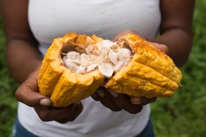 Rainforest Cycling Adventure in St. Lucia - Reaching Errard Falls, also called Sault Falls
