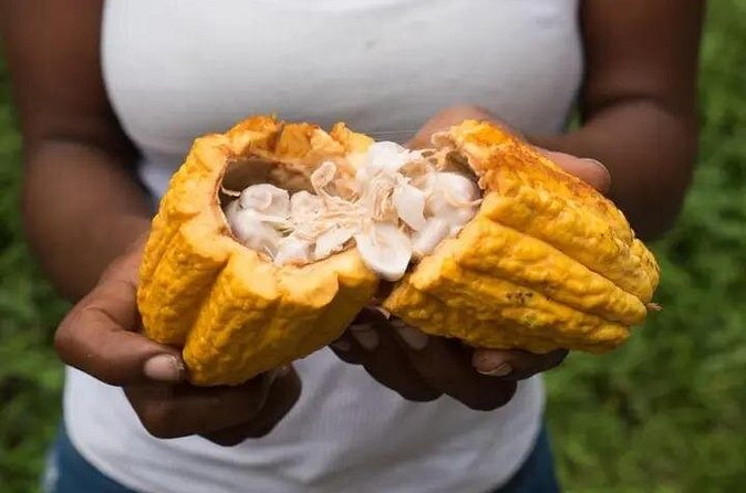 Rainforest Cycling Adventure in St. Lucia - What the $66.67 price gets you