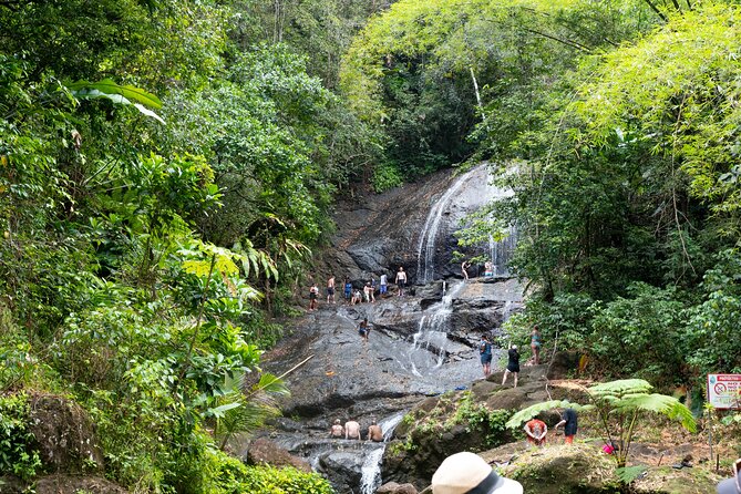 Rainforest Hike and Waterfall Safari - Fruit plantations and a taste of local life