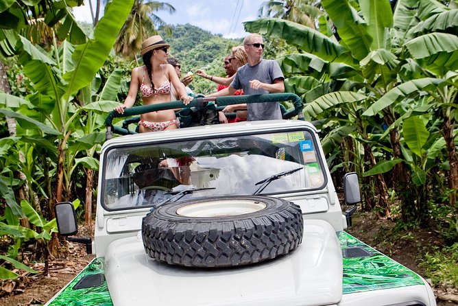 Rainforest Hike & Waterfall Safari St. Lucia From Castries - From Castries Harbor to Morne Fortune