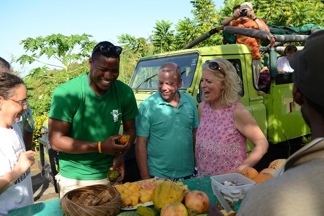 Rainforest Hike & Waterfall Safari St. Lucia From Castries - Rolling into rural St. Lucia