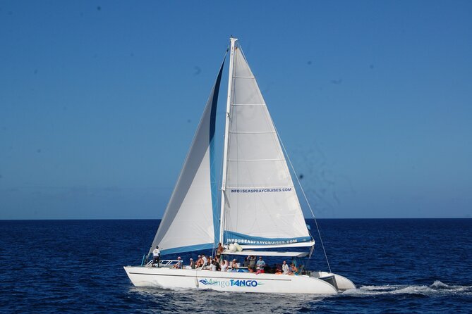 Rodney Bay to Soufriere Catamaran Transfer - What the $66 price really buys you