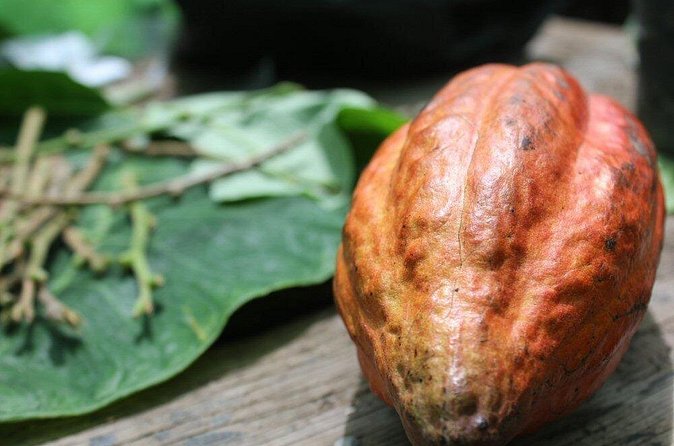 Rum & Chocolate Tasting Tour : Journey into Flavor - What the chocolate promise means