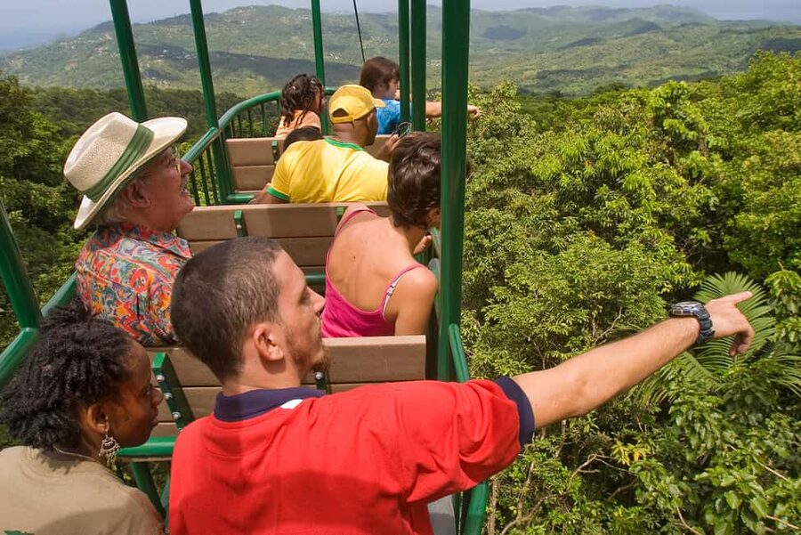 Saint Lucia: Aerial Tram Tour at Rainforest Adventures - Riding above Saint Lucia’s forest canopy