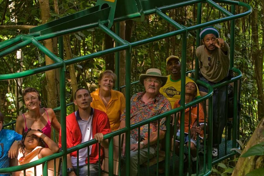 Saint Lucia: Aerial Tram Tour at Rainforest Adventures - Walking the Fern Nature Trail