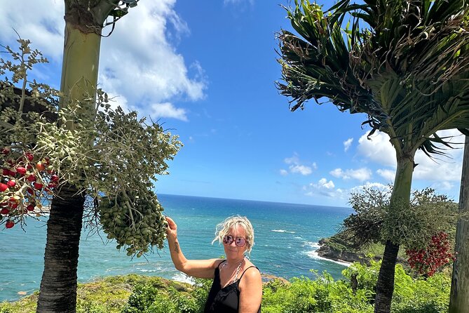 Saint Lucia Beach Tour with Free Entry - Who will like this outing most