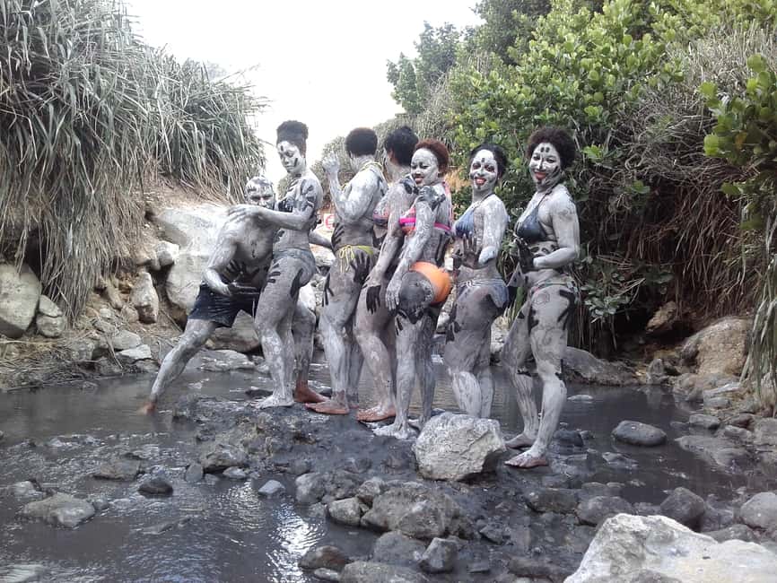 Saint Lucia: Soufriere Tour with Mud Bath and Waterfalls - Tropical plants and Diamond Waterfall