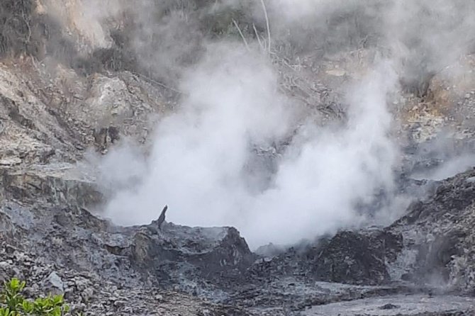 Saint Lucia Sulphur Springs Rejuvenating Mud Bath Tour - What your guide adds to the experience