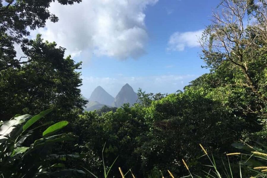 Saint Lucia: Tet Paul Nature Trail Hiking Tour & Beach - What the Tet Paul walk is really like