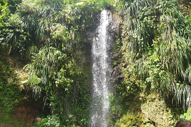 Scenic Tour of Soufriere - Inside Soufriere’s drive-in volcanic area
