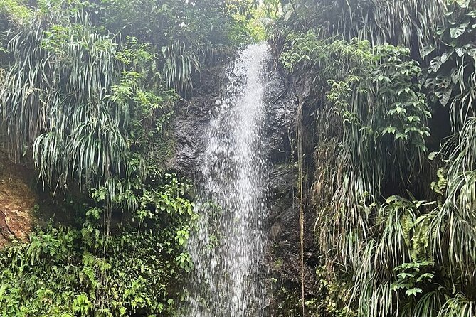 Sea and Land Tour in St. Lucia - Rodney Bay to the Pitons by speedboat