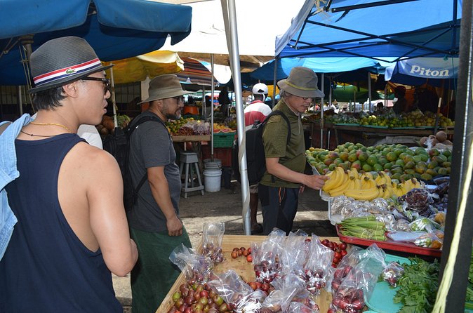 Shopping - St Lucia Got Talent Tour - Morne Fortune adds a Castries view